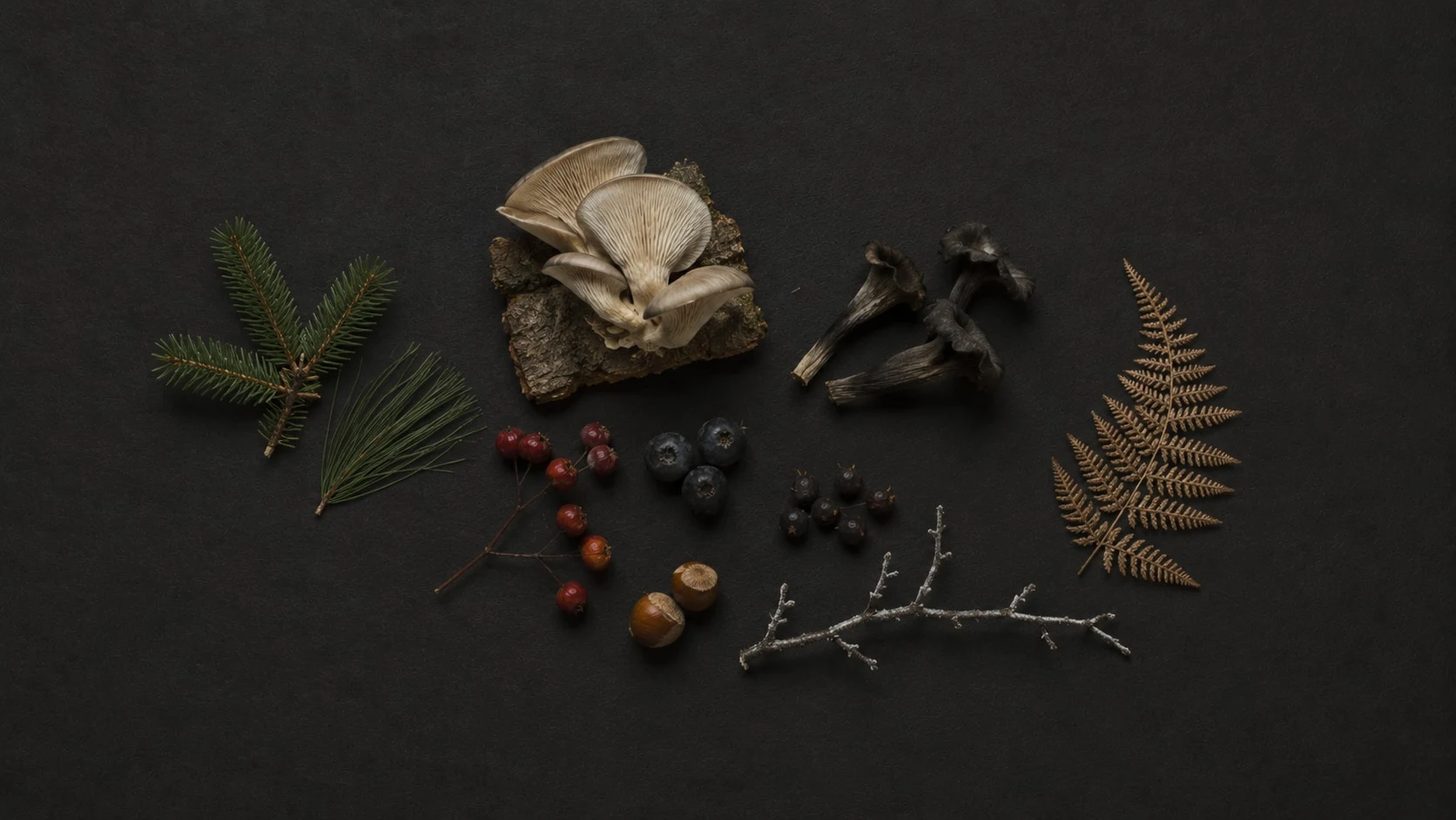 Plaque d'hiver, composition sur fond sombre